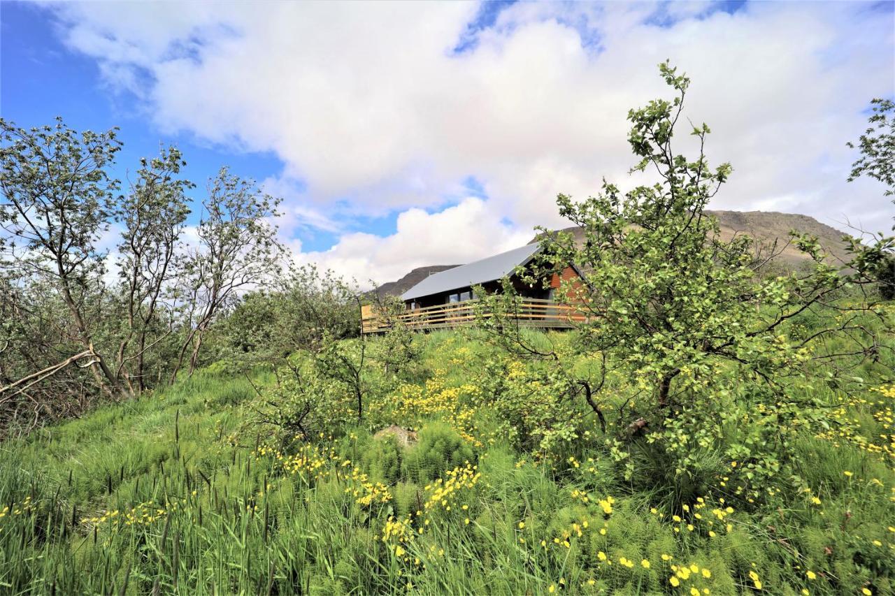 Dixon Cabin Nr. 4 / Dixon Sumarhus Nr. 4 Talknafirthi Villa Tálknafjörður Eksteriør bilde